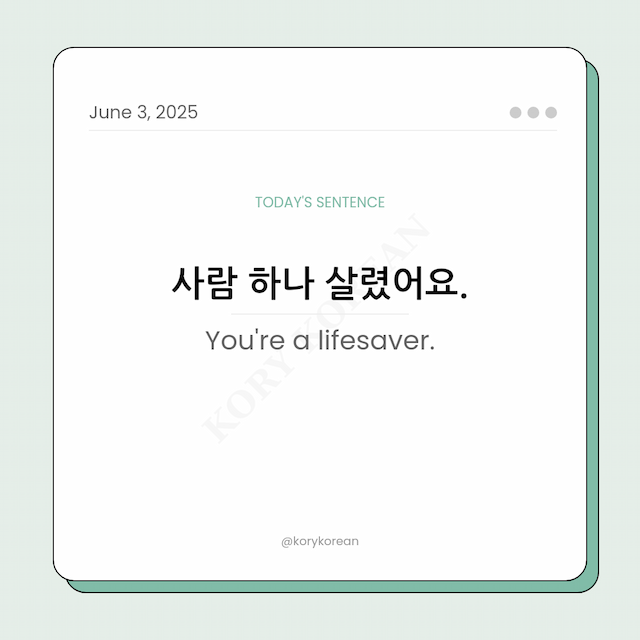 How to say You're a lifesaver in Korean