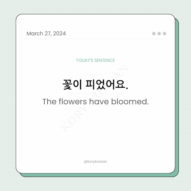 How to say "The flowers have bloomed." in Korean