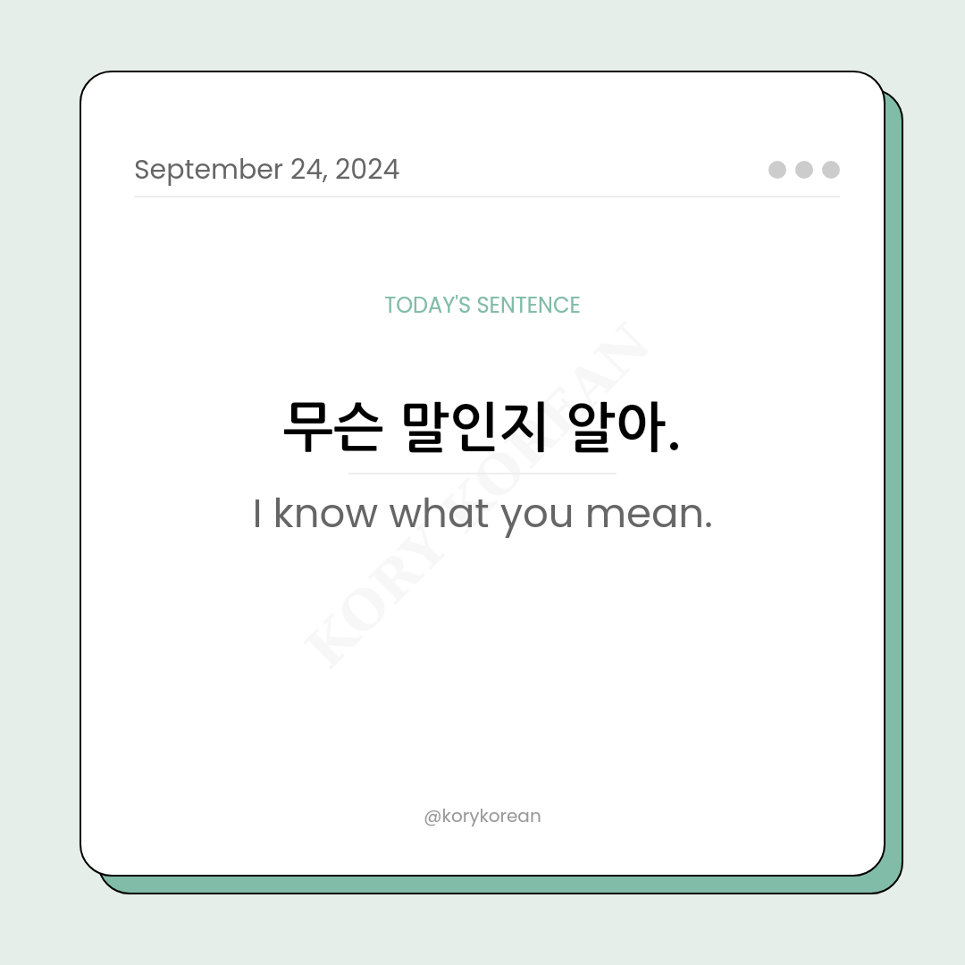 How to say "I know what you mean." in Korean