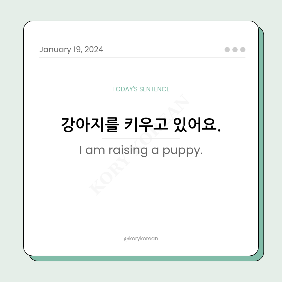 How to say "I am raising a puppy." in Korean