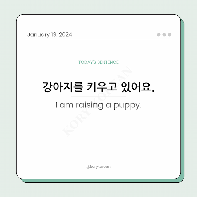 How to say "I am raising a puppy." in Korean