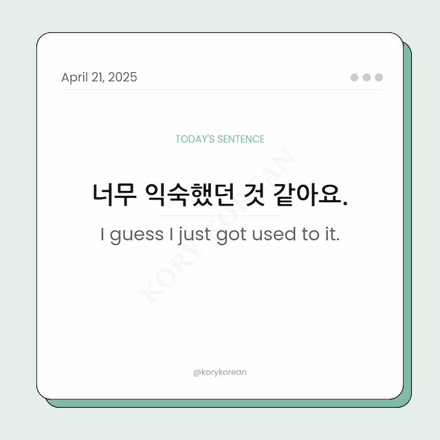 How to say I guess I just got used to it in Korean
