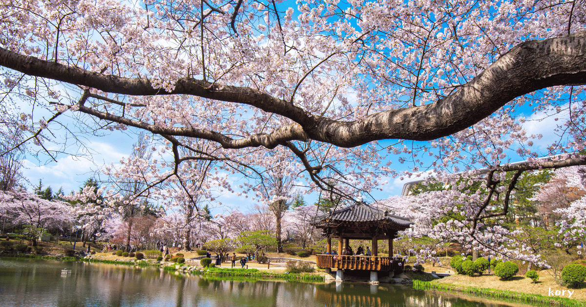 50 Korean Words for Dreams, Goals, and Hope